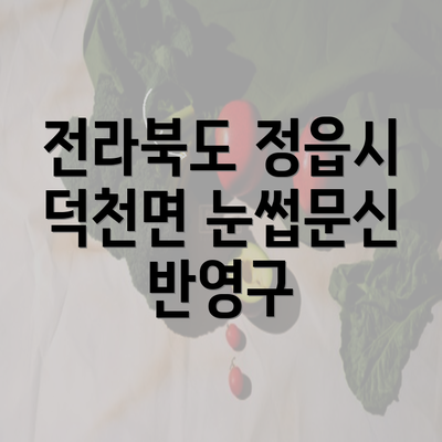 전라북도 정읍시 덕천면 눈썹문신 반영구