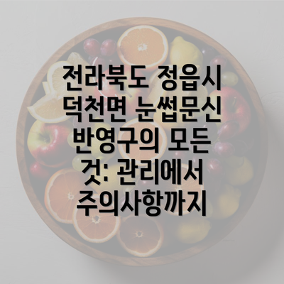 전라북도 정읍시 덕천면 눈썹문신 반영구의 모든 것: 관리에서 주의사항까지