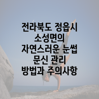 전라북도 정읍시 소성면의 자연스러운 눈썹 문신 관리 방법과 주의사항