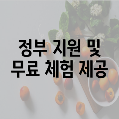 정부 지원 및 무료 체험 제공