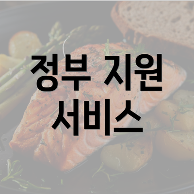 정부 지원 서비스