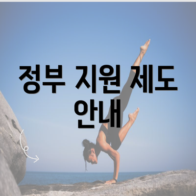 정부 지원 제도 안내