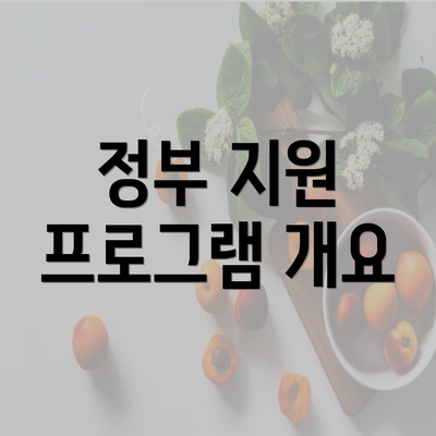 정부 지원 프로그램 개요