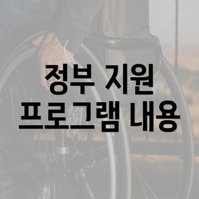 정부 지원 프로그램 내용