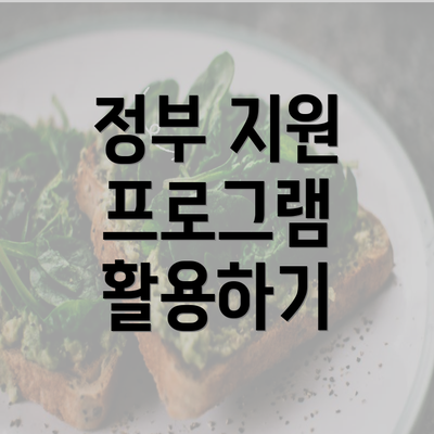 정부 지원 프로그램 활용하기