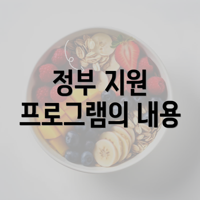 정부 지원 프로그램의 내용