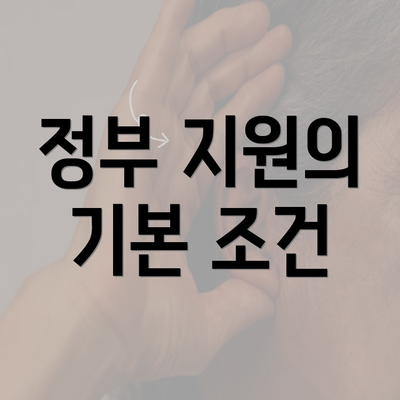 정부 지원의 기본 조건