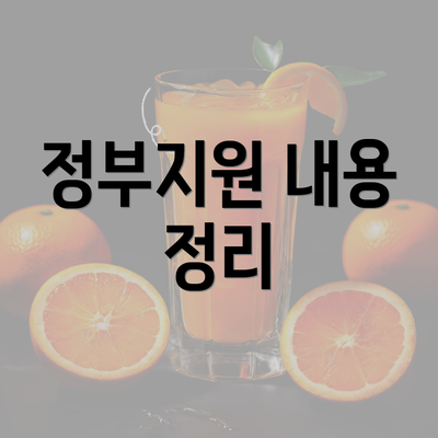 정부지원 내용 정리