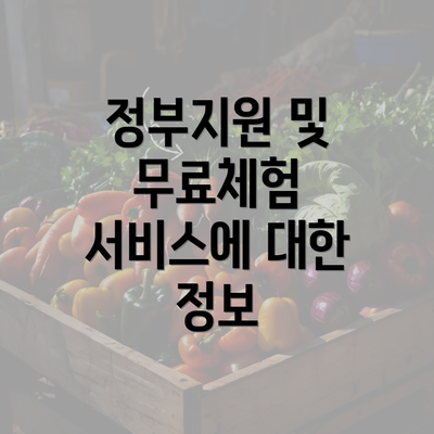 정부지원 및 무료체험 서비스에 대한 정보