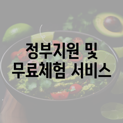 정부지원 및 무료체험 서비스