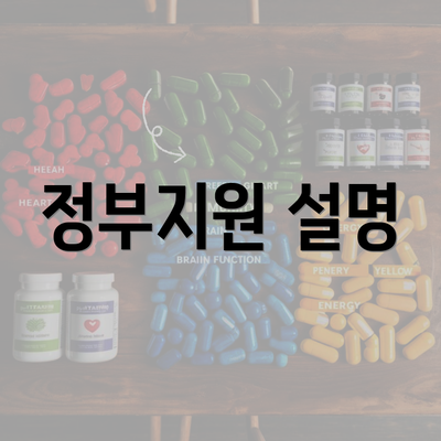 정부지원 설명