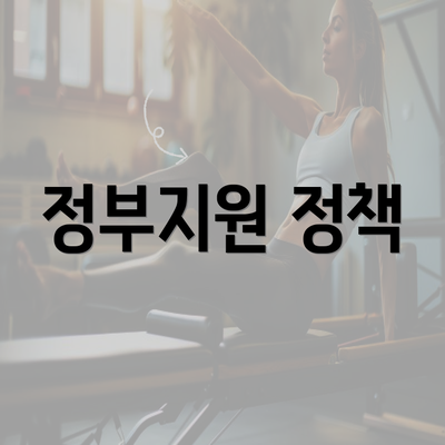 정부지원 정책