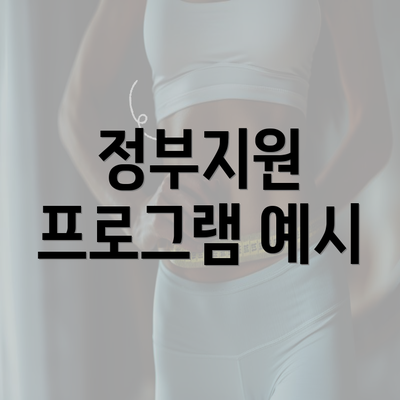 정부지원 프로그램 예시