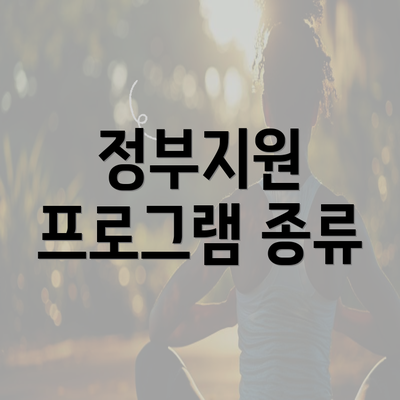 정부지원 프로그램 종류