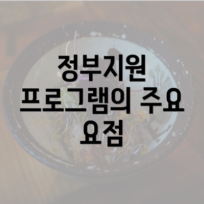 정부지원 프로그램의 주요 요점