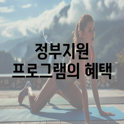 정부지원 프로그램의 혜택