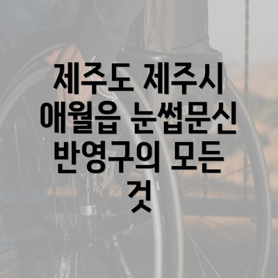 제주도 제주시 애월읍 눈썹문신 반영구의 모든 것