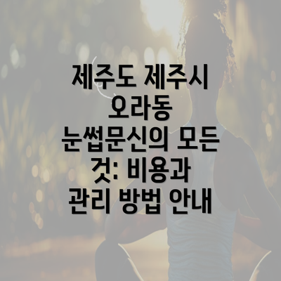 제주도 제주시 오라동 눈썹문신의 모든 것: 비용과 관리 방법 안내