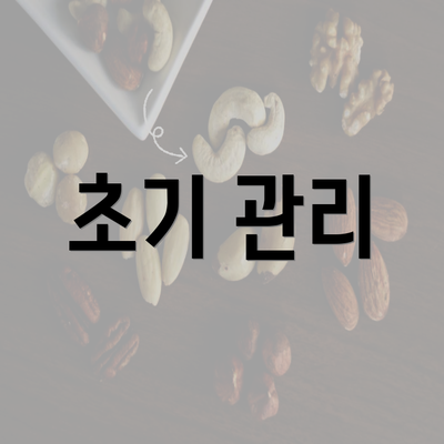 초기 관리