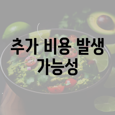 추가 비용 발생 가능성