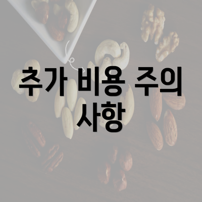 추가 비용 주의 사항