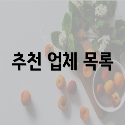 추천 업체 목록