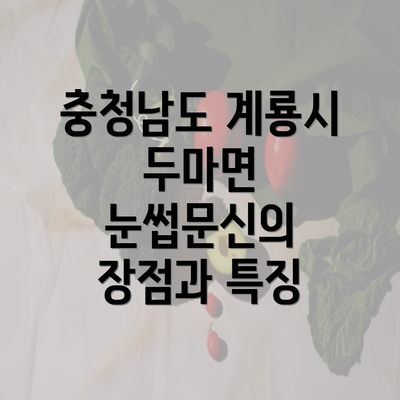 충청남도 계룡시 두마면 눈썹문신의 장점과 특징