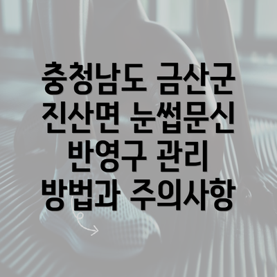 충청남도 금산군 진산면 눈썹문신 반영구 관리 방법과 주의사항