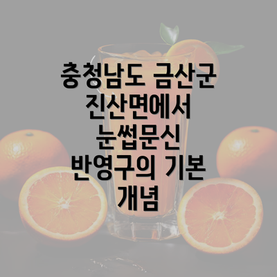 충청남도 금산군 진산면에서 눈썹문신 반영구의 기본 개념