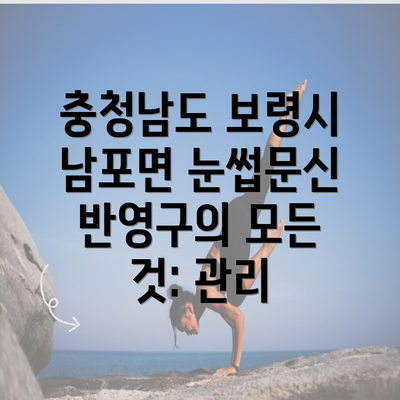 충청남도 보령시 남포면 눈썹문신 반영구의 모든 것: 관리