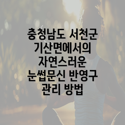 충청남도 서천군 기산면에서의 자연스러운 눈썹문신 반영구 관리 방법