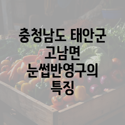 충청남도 태안군 고남면 눈썹반영구의 특징