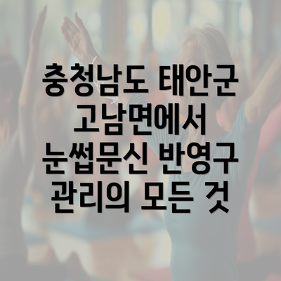 충청남도 태안군 고남면에서 눈썹문신 반영구 관리의 모든 것