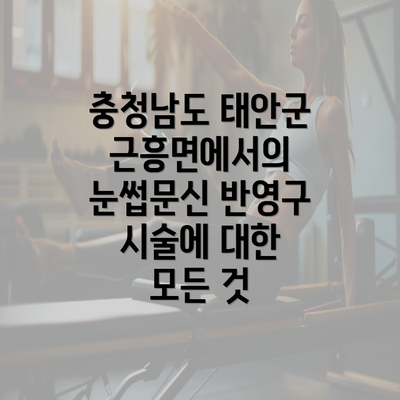 충청남도 태안군 근흥면에서의 눈썹문신 반영구 시술에 대한 모든 것