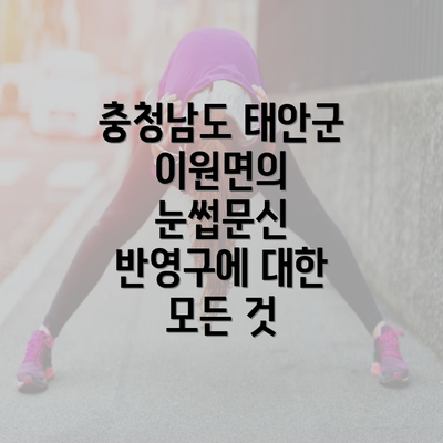 충청남도 태안군 이원면의 눈썹문신 반영구에 대한 모든 것