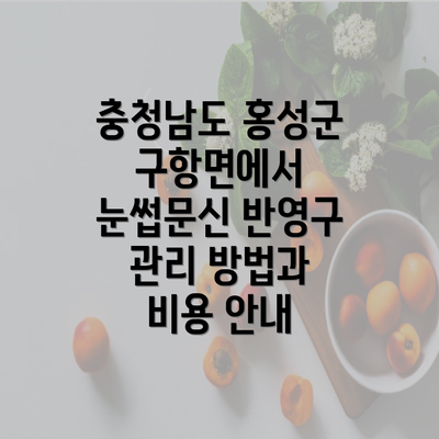 충청남도 홍성군 구항면에서 눈썹문신 반영구 관리 방법과 비용 안내