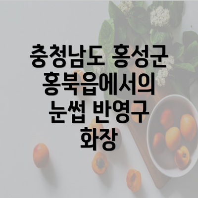 충청남도 홍성군 홍북읍에서의 눈썹 반영구 화장