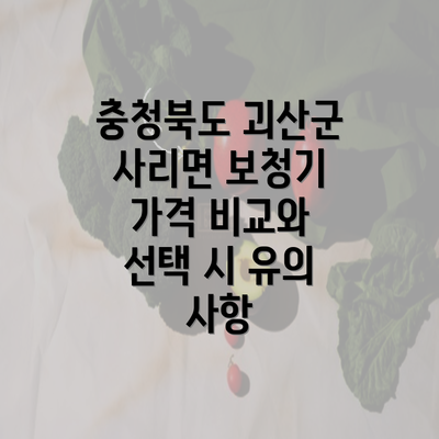 충청북도 괴산군 사리면 보청기 가격 비교와 선택 시 유의 사항