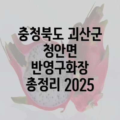 충청북도 괴산군 청안면 반영구화장 총정리 2025