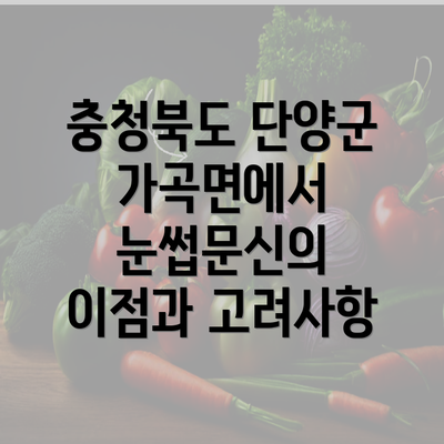 충청북도 단양군 가곡면에서 눈썹문신의 이점과 고려사항