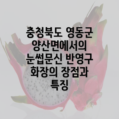 충청북도 영동군 양산면에서의 눈썹문신 반영구 화장의 장점과 특징