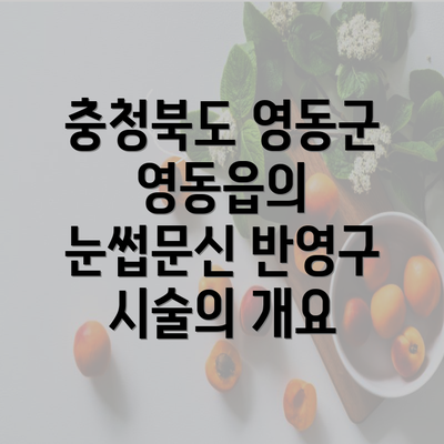 충청북도 영동군 영동읍의 눈썹문신 반영구 시술의 개요