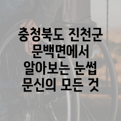 충청북도 진천군 문백면에서 알아보는 눈썹 문신의 모든 것