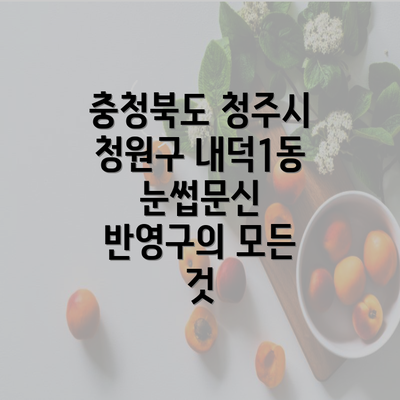 충청북도 청주시 청원구 내덕1동 눈썹문신 반영구의 모든 것