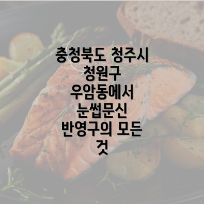 충청북도 청주시 청원구 우암동에서 눈썹문신 반영구의 모든 것