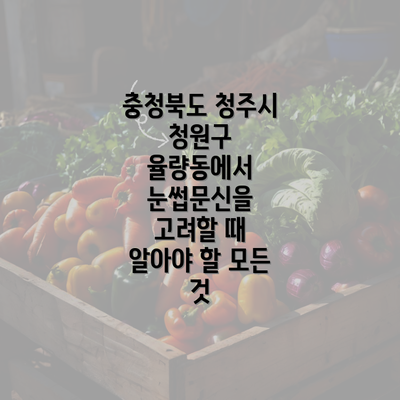 충청북도 청주시 청원구 율량동에서 눈썹문신을 고려할 때 알아야 할 모든 것