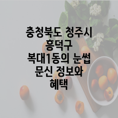 충청북도 청주시 흥덕구 복대1동의 눈썹 문신 정보와 혜택