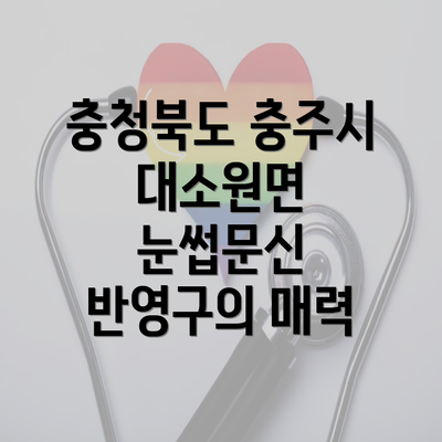 충청북도 충주시 대소원면 눈썹문신 반영구의 매력