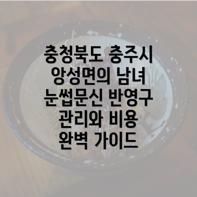 충청북도 충주시 앙성면의 남녀 눈썹문신 반영구 관리와 비용 완벽 가이드