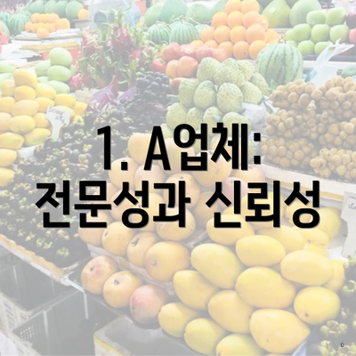 1. A업체: 전문성과 신뢰성